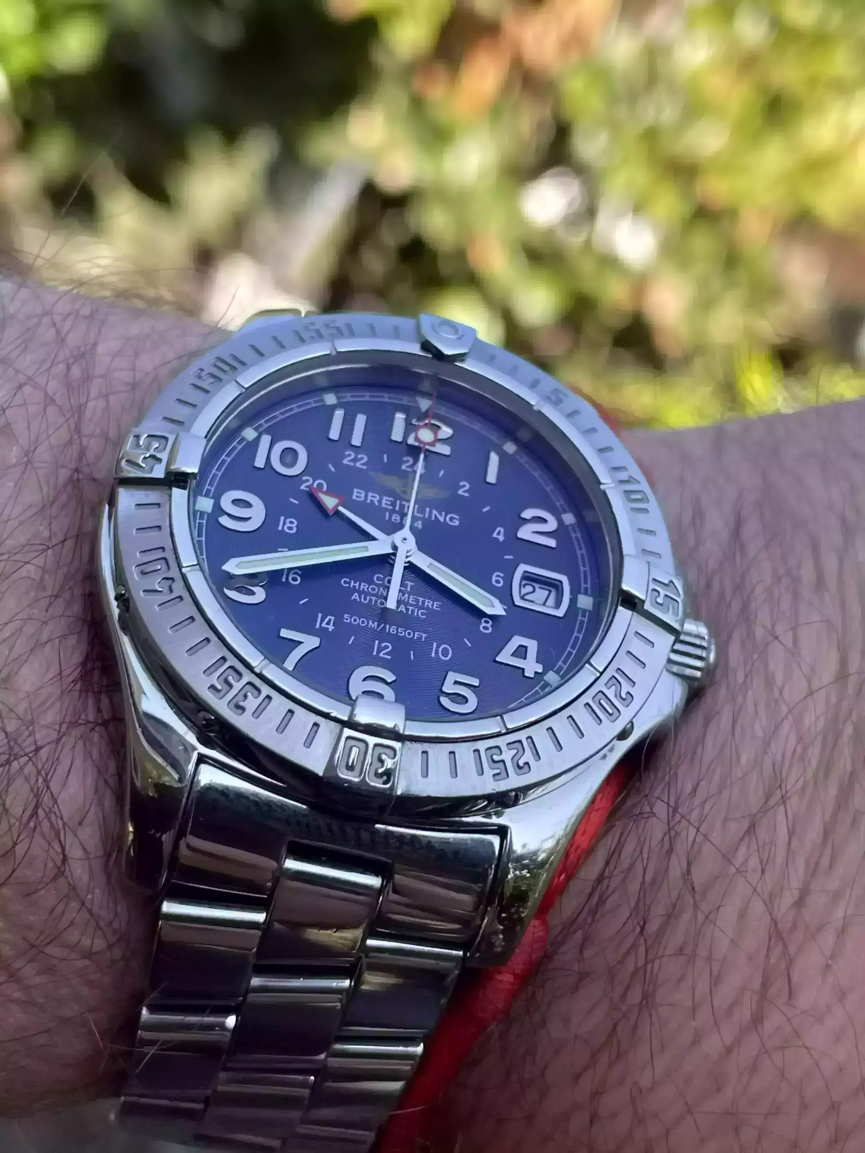 Kattints a kép megtekintéséhez