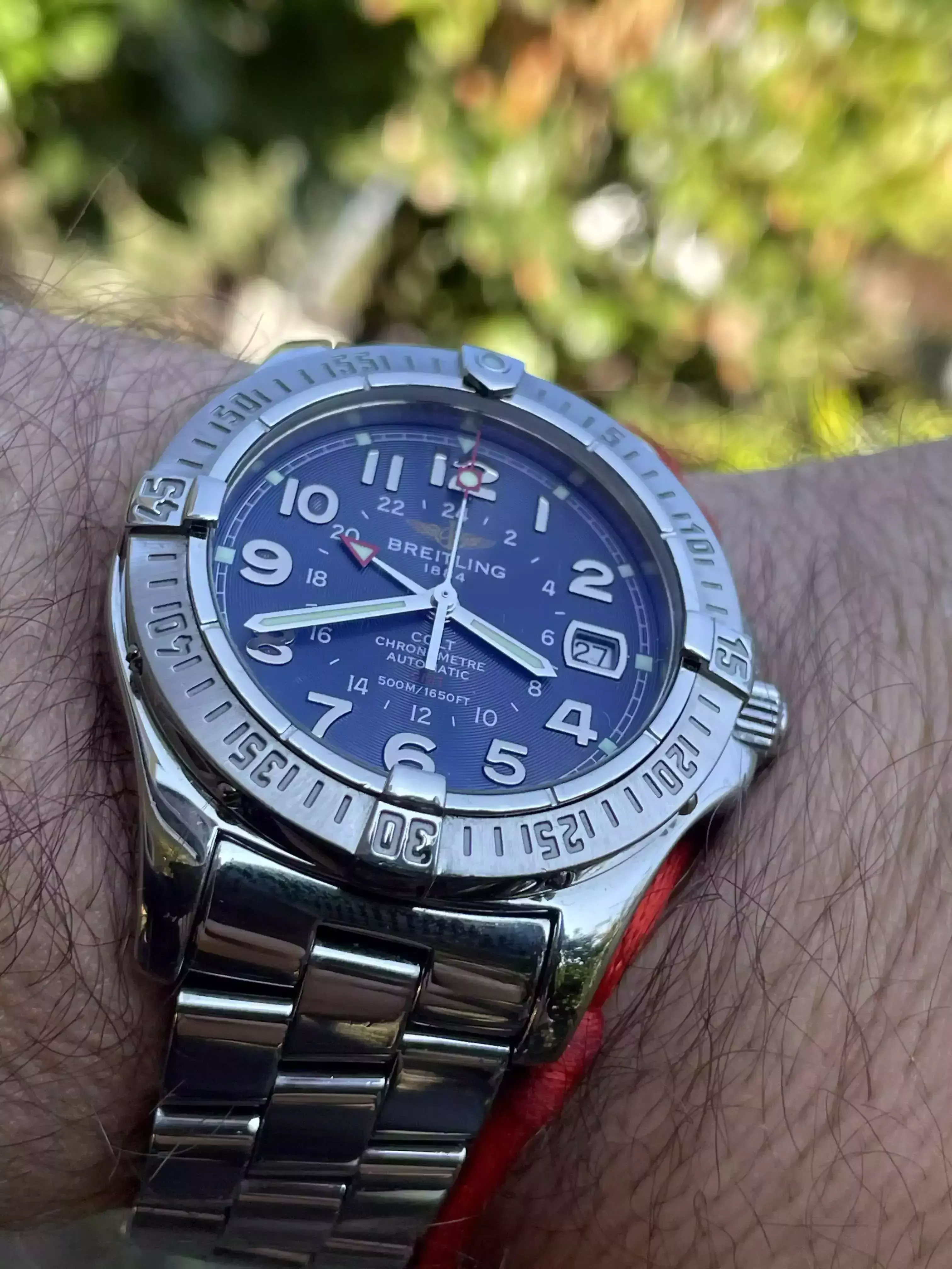 Kattints a kép megtekintéséhez